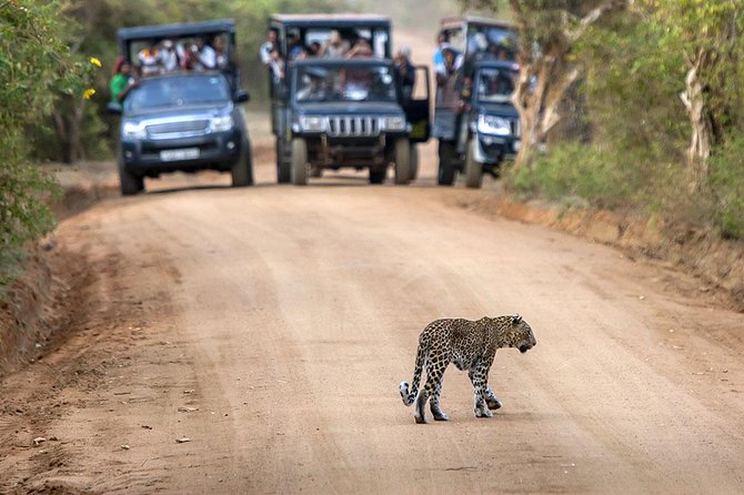 2 Days Tour to Galle & Udawalawe National Park - Visit to Galle Fort