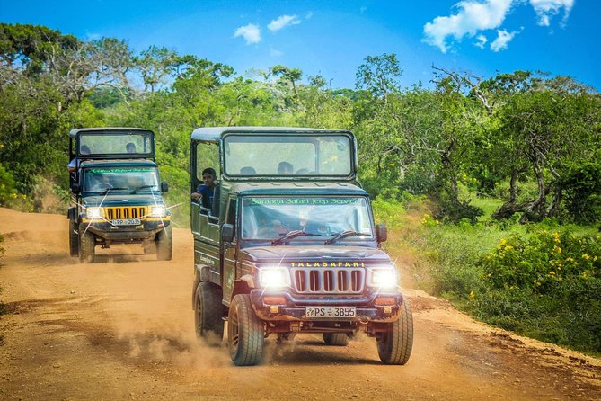 2 Days Tour to Galle & Yala National Park From Colombo - Inclusions of the Tour