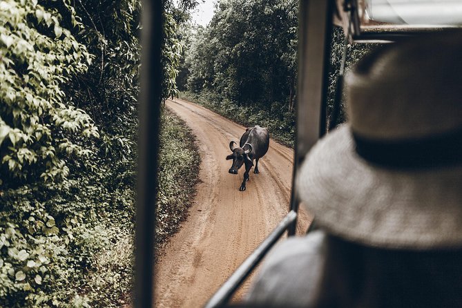 2 Days Tour to Galle & Yala National Park From Colombo - Sum Up