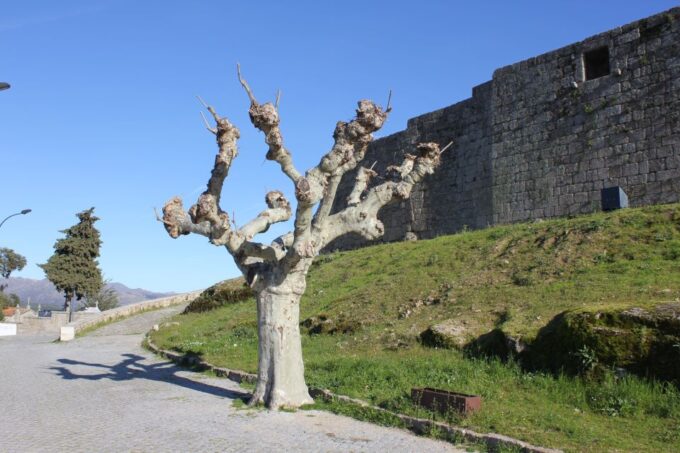 2 Days Tour to Heart of Serra Da Estrela From Lisbon - Included in the Tour