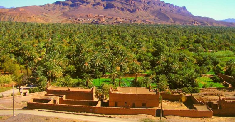 2 Days Tour to Zagora Desert With Sunset From Marrakech - Customer Feedback and Experience