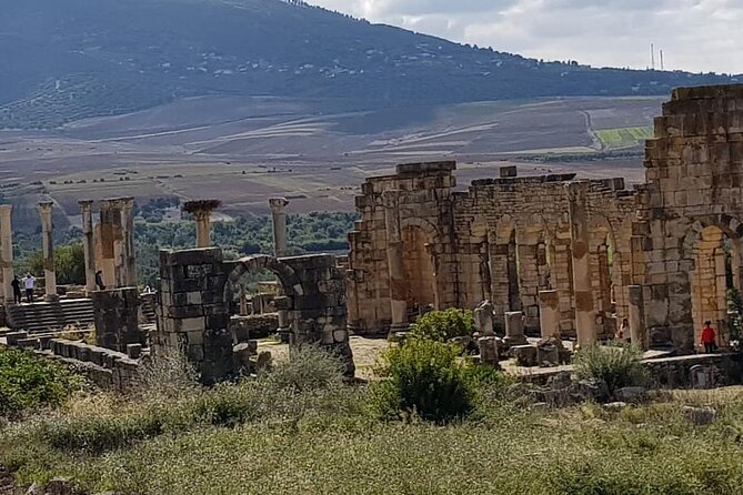 2 Days Tours From FEZ to FEZ via Chefchaouen, Meknès , Volubilis - Discovering Volubilis