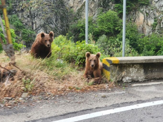 2 Days Transfagarasan Highway Private Tour - Recommended Attire
