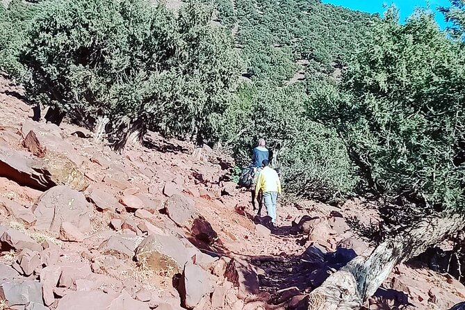 2 Days Trek to Atlas Mountains Berber Villages - Meeting and End Point