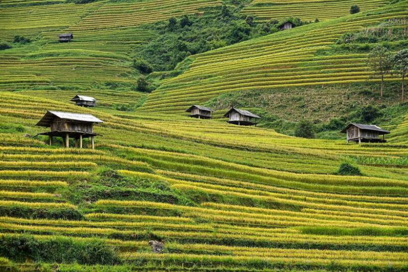 2 Days Trekking and Motorbike Tour in Mu Cang Chai - Tour Overview and Pricing