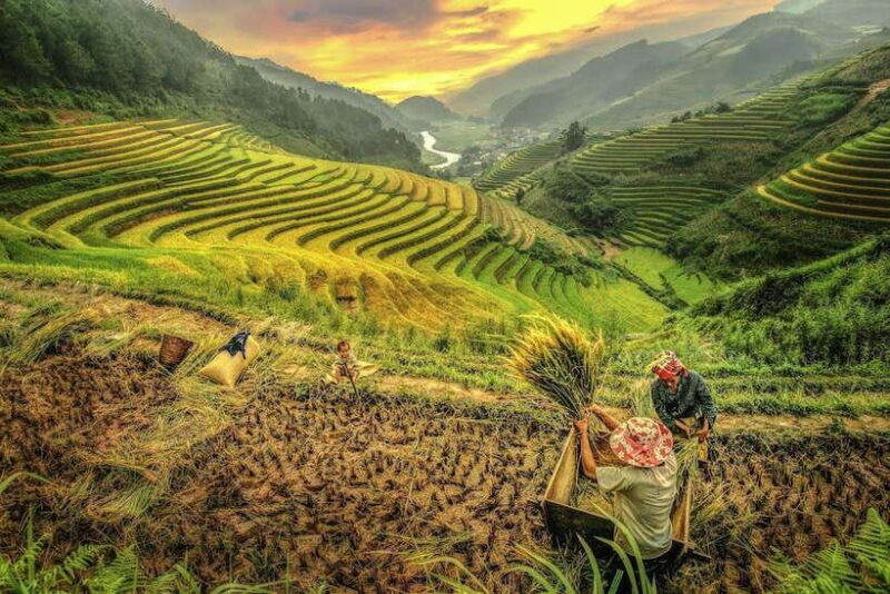2 Days Trekking and Motorbike Tour in Mu Cang Chai - Frequently Asked Questions
