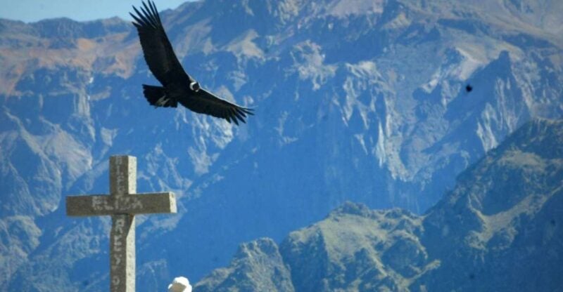 2 Days Trekking to the Colca Valley and the Condors Cross - Itinerary Details
