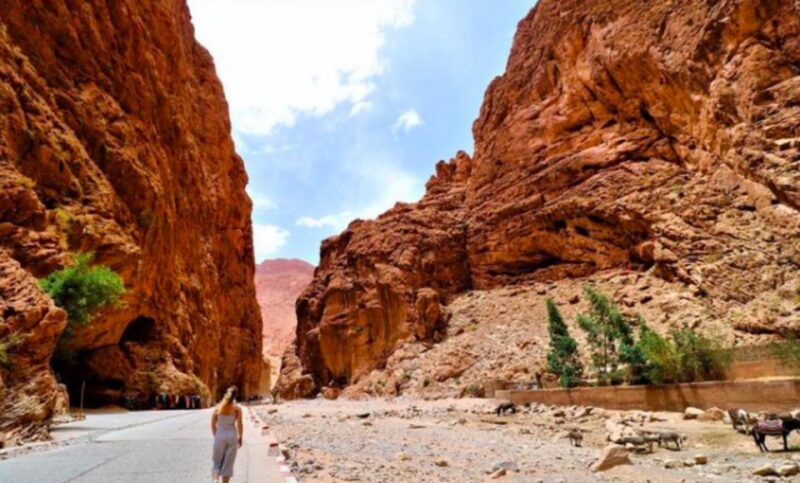 2 Days Trip From Marrakech To Ouarzazate & Dades Valley - Kasbah Ait Ben Haddou