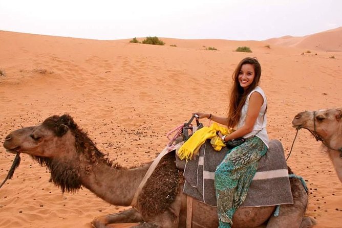 2 Days Trip in a Small Group From FEZ to FEZ Passing by MERZOUGA - Included Meals and Accommodation