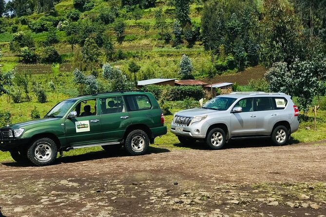 2 Days Uganda Gorilla Trekking - What to Bring