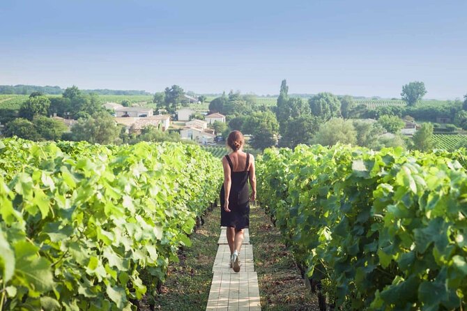 2 Days Visiting Champagne Region - Visiting the Historic City of Reims