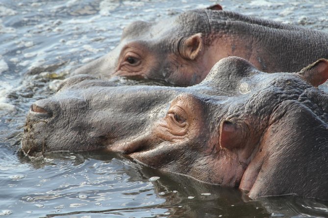 2 Days Wildlife Game Drives Through Tarangire and Ngorongoro Crater - Booking and Pricing Information