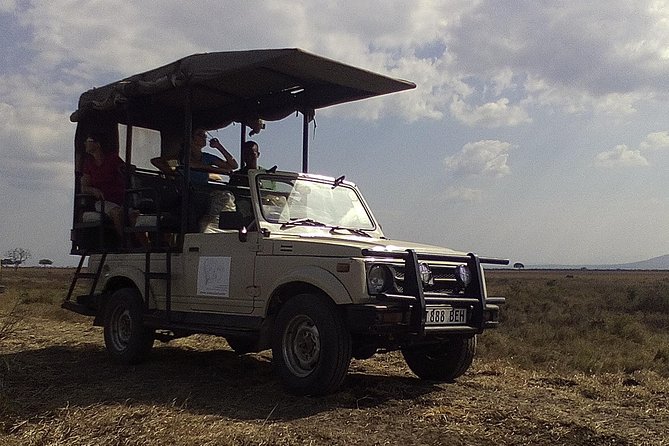 2 Days Wildlife Safari in Mikumi National Park - Key Points