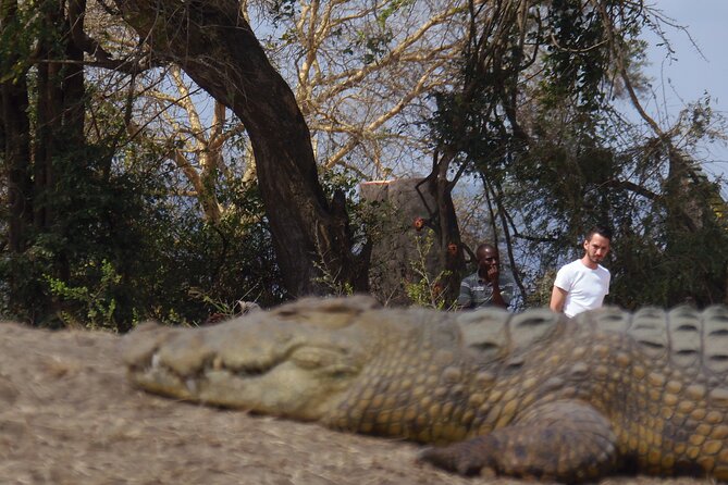 2 Days Wildlife Safari in Mikumi National Park - Participation Requirements