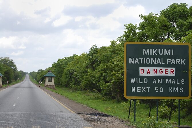 2 DAYS ZANZIBAR TO MIKUMI Flight Safari - Packing and Preparation