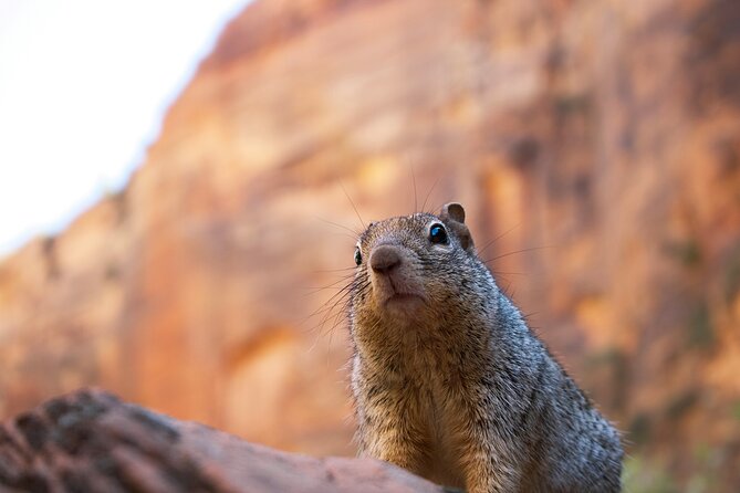 2 Days Zion and Bruce Canyon Tour With Hiking - Key Points