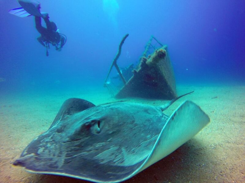 2-Dive Guided Scuba Diving For Qualified Divers - Diving Equipment and Accessories