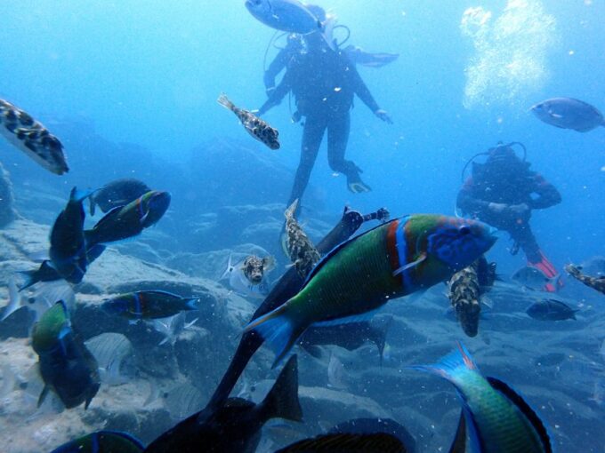 2-Dive Guided Scuba Diving For Qualified Divers - Frequently Asked Questions