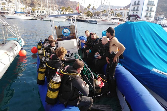 2 Dive Package for PADI Qualified Divers in Gran Canaria - Dive Equipment and Inclusions