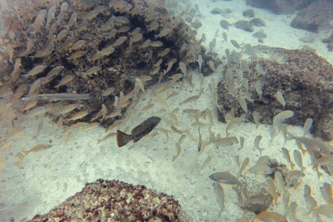 2 Dive Package for PADI Qualified Divers in Gran Canaria - Arrival and Departure Details