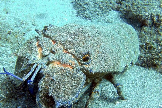 2 Dive Package for Qualified Divers in Gran Canaria - Cancellation Policy