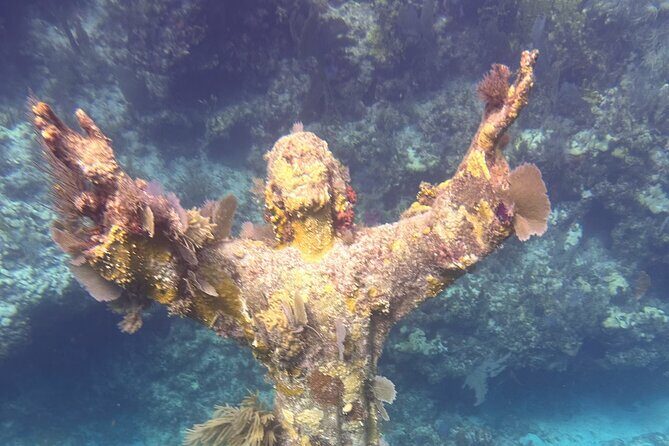 2 Dive Scuba Diving Reef Excursion to Key Largo Marine Sanctuary - Equipment and Comforts