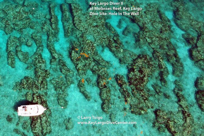 2 Dive Scuba Diving Reef Excursion to Key Largo Marine Sanctuary - Who Will Love This Tour?