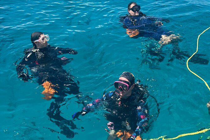 2 Dive Scuba Diving Reef Excursion to Key Largo Marine Sanctuary - The Sum Up: Is This Tour Right for You?