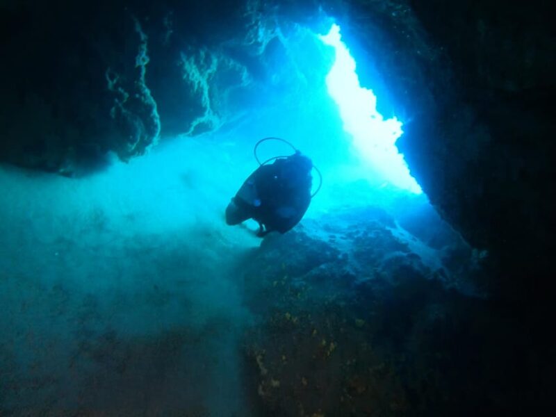2 DIVES - Certified Divers - Included Features