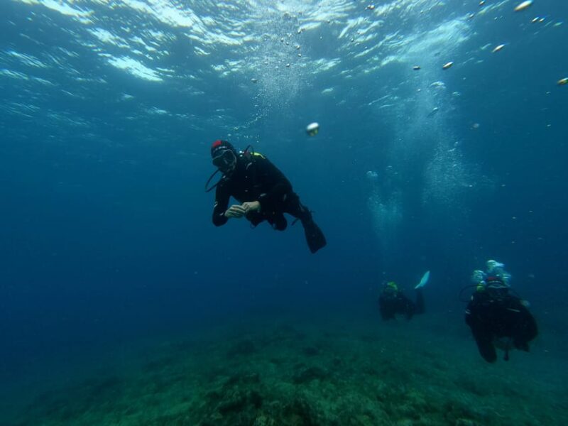 2 DIVES - Certified Divers - Booking Logistics