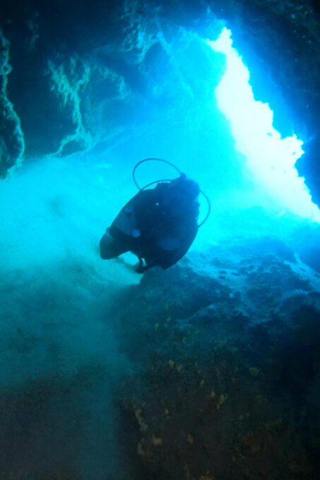 2 DIVES - Certified Divers - Pricing and Cancellation