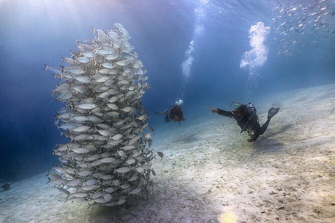 (2 Dives) Discover Scuba Diving Kota Kinabalu - Safety and Accessibility