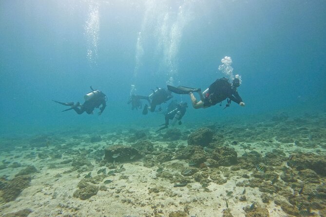 2 Dives for Certified Divers in Fujairah With BBQ Lunch - Meeting and Pickup Information