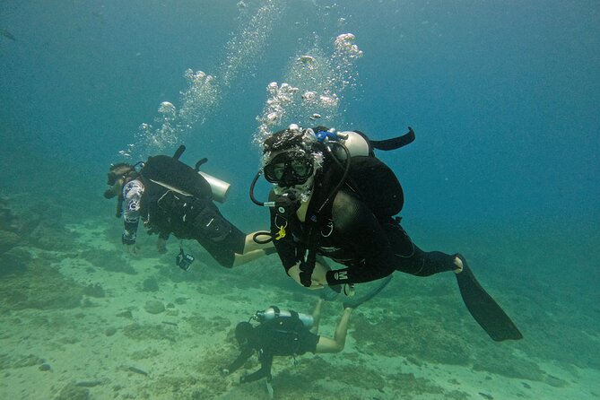 2 Dives for Certified Divers in Fujairah With Lunch & Transfer - Participant Requirements