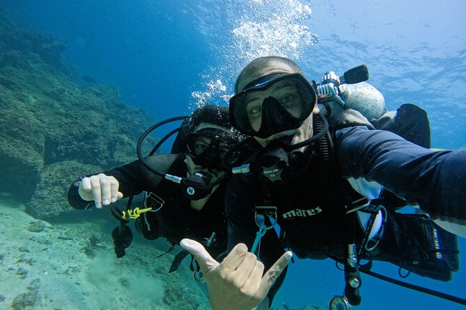 2 Dives for Certified Divers in Fujairah With Lunch & Transfer - Reviews and Feedback