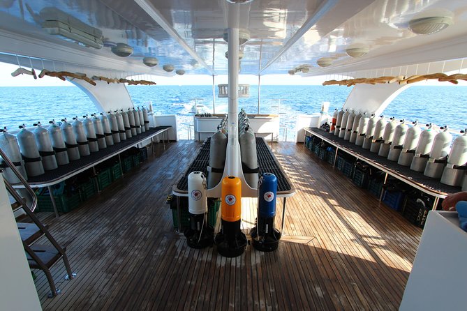 2 Dives From a Comfy Boat for Certified Divers - Booking Confirmation and Requirements