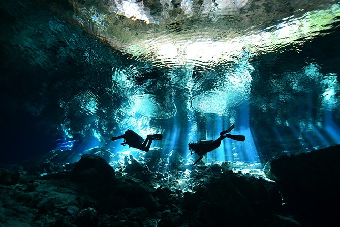 2 Dives in Cenote Dos Ojos - Certified Divers - Key Points
