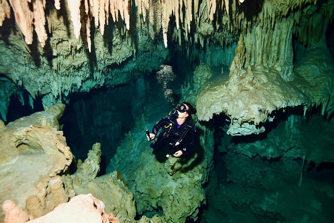 2 Dives in Cenote Dos Ojos - Certified Divers - Gran Cenote and Snacks and Beverages