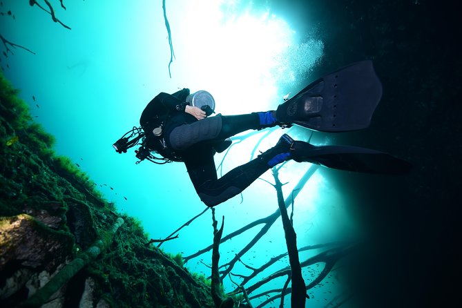 2 Dives in Cenote Dos Ojos - Certified Divers - Transport and Necessary Equipment