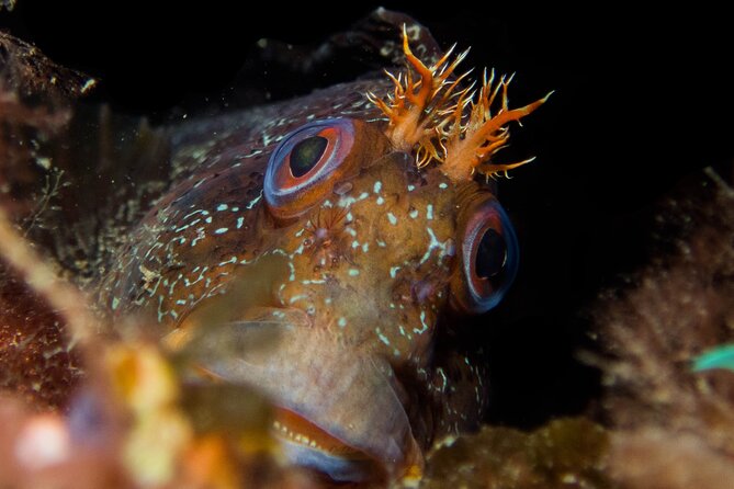2 Dives Trip - Logistics