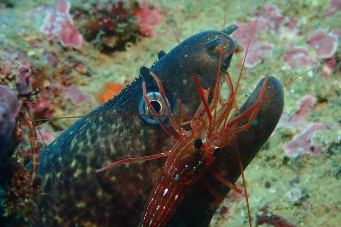 2 Dives Trip - What to Bring