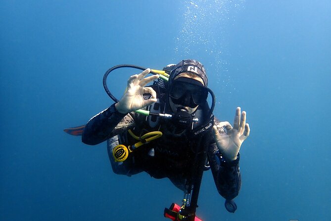 2 Dives Trip - Frequently Asked Questions