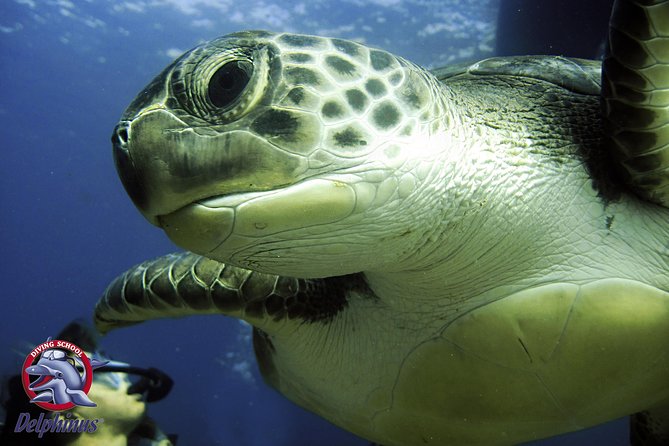 2 Diving Sites Scuba Diving Package in Gran Canaria - Inclusions and Equipment