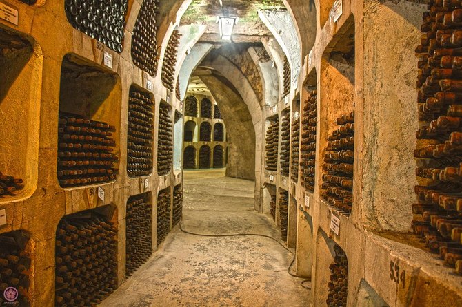 2 Excursions in One Day-Milestii Mici Winery, Tiraspol City and Bender Fortress - Customer Feedback and Experiences