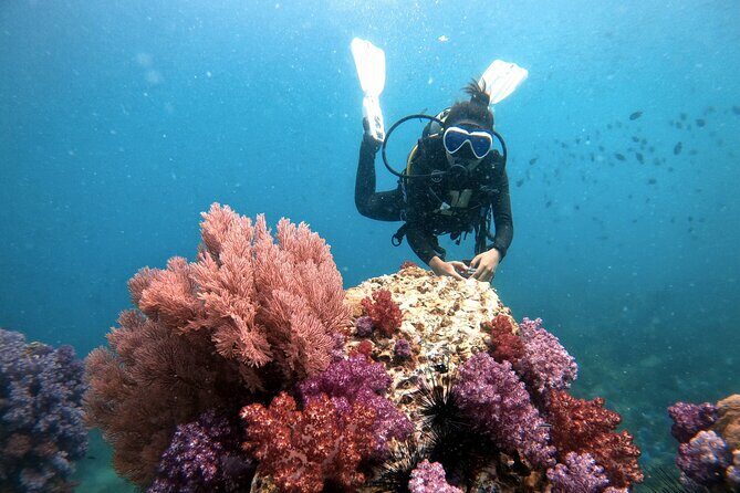 2 Fun Divers for Certified Divers in Thailand - Introduction: What’s on Offer?