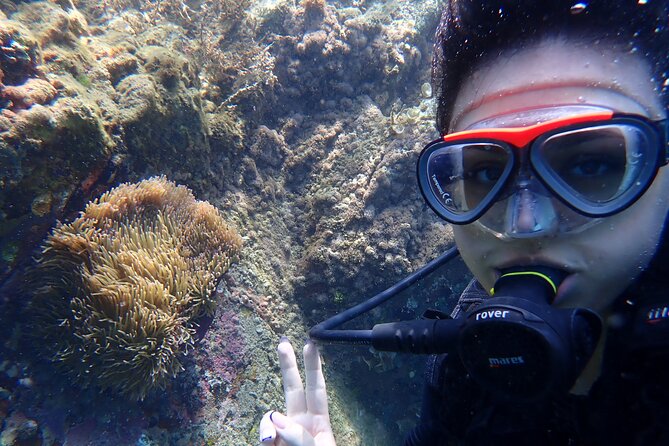 2 Fun Dives for Certified Divers - Optional Activities