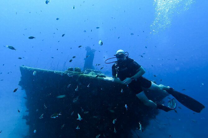 2 guided shore dives in Curacao - FAQ