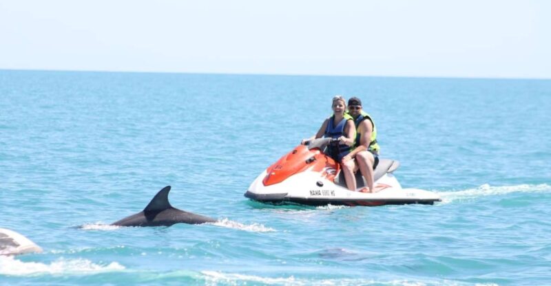 2 H Catamaran to Djerba - Dolphin Watching Experience