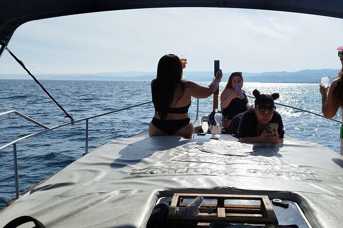 2 H Estepona Bay Tour - Confirmation and Accessibility