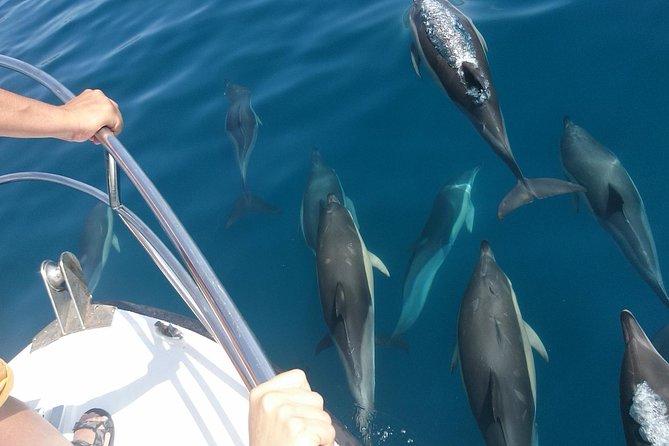 2 H Estepona Bay Tour - Cancellation Policy